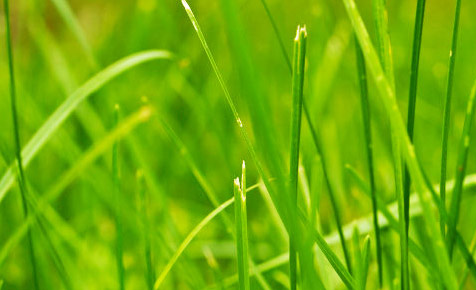 Web漏洞扫描工具